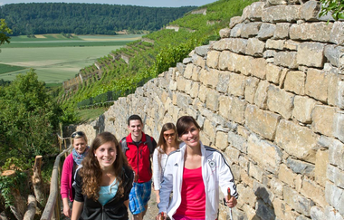 Weinwandern im Gundelsheimer Himmelreich | Weinerlebnistouren Württemberg | HeilbronnerLand | © Stadt Gundelsheim