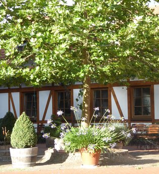 Gutshof mit Weingut Menges in Rauenberg | © Beate Otto