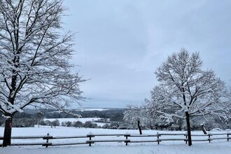 Haidhof | © TOURISMUS REGION WERTHEIM GmbH