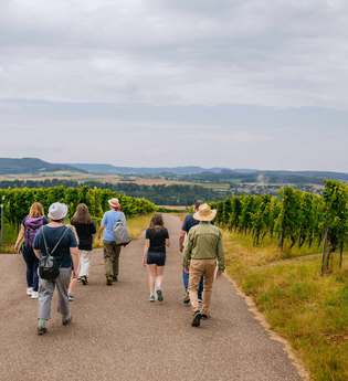 Aussicht von den Hälden bei Bretzfeld. | © Hohenloher Perlen
