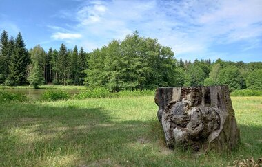 Haspelsee