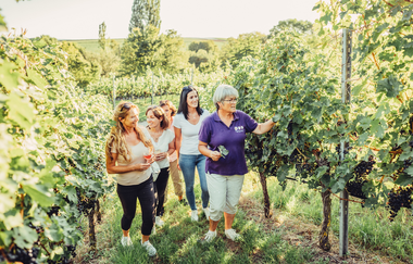 Weinerlebnisführung | HeilbronnerLand | © Touristikgemeinschaft HeilbronnerLand