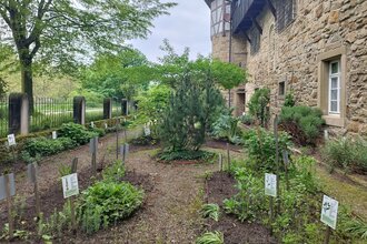 Heilkräutergarten in Öhringen | © Stadt Öhringen