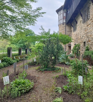 Heilkräutergarten in Öhringen | © Stadt Öhringen