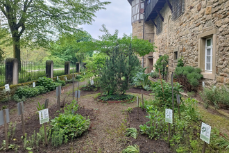 Heilkräutergarten in Öhringen | © Stadt Öhringen