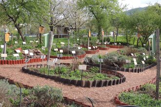 Heilkräutergarten | © Stadt Eberbach