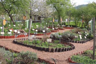 Heilkräutergarten | © Stadt Eberbach