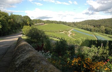 Ausblick von Burg Wildeck | Abstatt | HeilbronnerLand | © Touristikgemeinschaft HeilbronnerLand