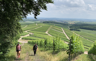 Helga Naujoks unterwegs in den Brackenheimer Weinbergen | © Neckar-Zaber-Tourismus e.V.