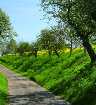 Landschaftsschutzgebiet Hergstbachtal | Möckmühl | HeilbronnerLand | © Stadtverwaltung Möckmühl | Stadtarchiv