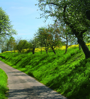 Landschaftsschutzgebiet Hergstbachtal | Möckmühl | HeilbronnerLand | © Stadtverwaltung Möckmühl | Stadtarchiv