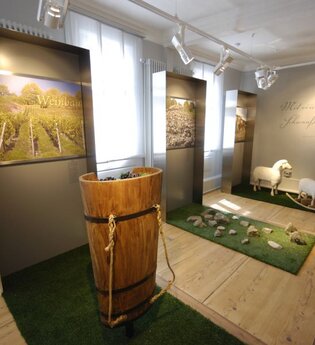 Ausstellung Natur | © Touristikgemeinschaft Hohenlohe e. V. | Herrenhaus Buchenbach