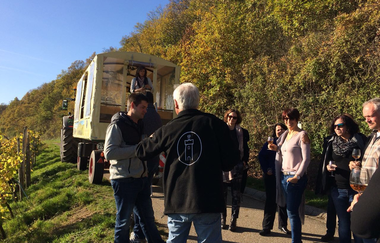 Wengert-Schleicher | Planwagen- und Weinbergrundfahrten | Schwaigern | © Heuchelberg Weingärtner eG