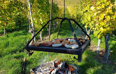 Wengert-Schleicher | Planwagen- und Weinbergrundfahrten | Schwaigern | © Heuchelberg Weingärtner eG
