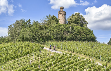 Aussichtsturm Heuchelberger Warte | Leingarten | HeilbronnerLand | © Touristikgemeinschaft HeilbronnerLand