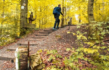 Himmelsleiter am Wander3Klang Eppingen | HeilbronnerLand | © Touristikgemeinschaft HeilbronnerLand