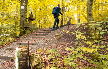 Himmelsleiter am Wander3Klang Eppingen | HeilbronnerLand | © Touristikgemeinschaft HeilbronnerLand