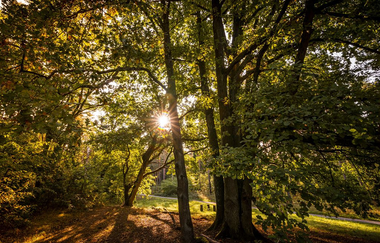 Hirschacker und Dossenwald | © Stadt Schwetzingen