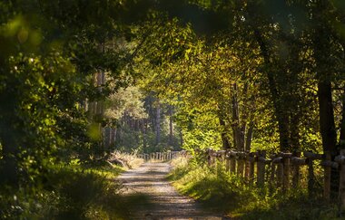 Hirschacker und Dossenwald | © Stadt Schwetzingen