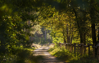 Hirschacker und Dossenwald | © Stadt Schwetzingen