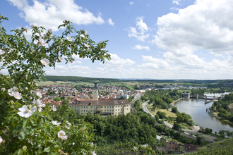 Schloss Horneck | Gundelsheim | HeilbronnerLand | © Stadt Gundelsheim