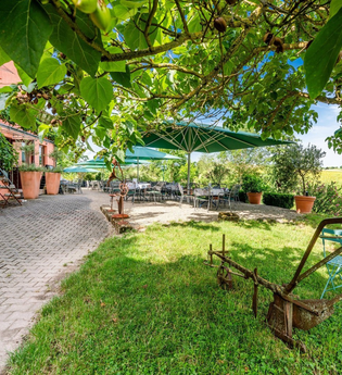 Grüne Terrasse des Hofcafé Fuchs | Obersulm | HeilbronnerLand | © Hofcafé Fuchs