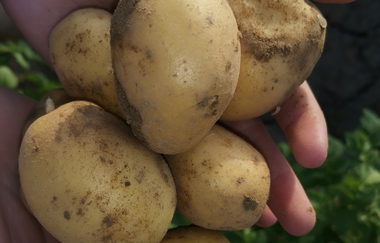 Hofladen Familie Rasim | © Hohenlohe Schwäbisch Hall