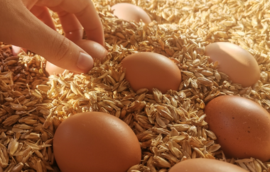 Hofladen Familie Rasim | © Hohenlohe Schwäbisch Hall