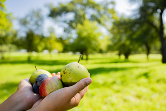 Hofläden und Direktvermarkter in Hohenlohe | © Hohenlohe + Schwäbisch Hall Tourismus e. V.