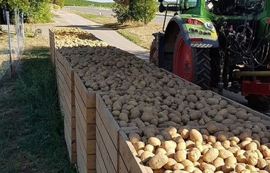 Kartoffelhof Link | Lauffen am Neckar | HeilbronnerLand | © H. Link