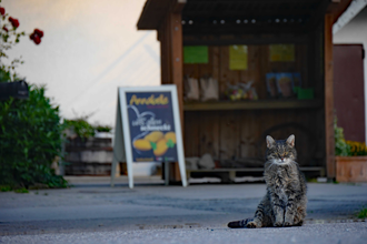 Selbstbedienungsstand Kartoffelhof Schäffer | Lauffen am Neckar | © Schäffer GbR