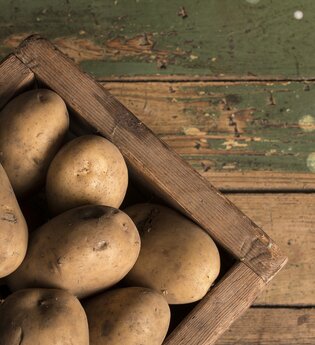 Hofladen Steng Landgut am Rosenberg  | Lauffen am Neckar | HeilbronnerLand | © Pixabay