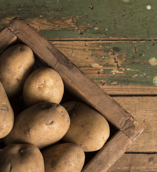 Hofladen Steng Landgut am Rosenberg  | Lauffen am Neckar | HeilbronnerLand | © Pixabay