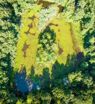 See von oben umgeben von Bäumen | © Naturpark Stromberg Heuchelberg