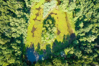 See von oben umgeben von Bäumen | © Naturpark Stromberg Heuchelberg