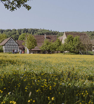 Hohenloher Freilandmuseum Schwäbisch Hall | © Nico Kurth, Touristik und Marketing Schwäbisch Hall
