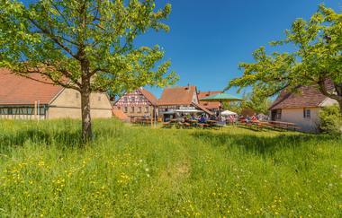 Hohenloher Freilandmuseum Schwäbisch Hall | © © Stadt Schwäbisch Hall - Michael Kühneisen