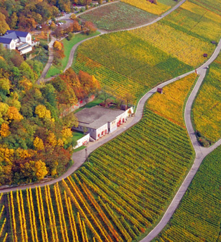 Höhenrestaurant Wartberg
