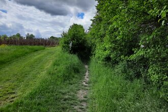 Hohlweg am Destillatweg "Gfingldr" | © Hohenloher Perlen
