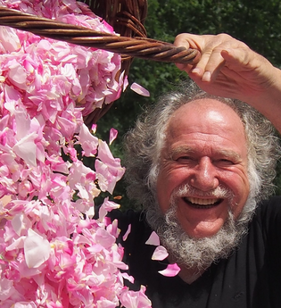 Holunderzauber | © Hohenlohe + Schwäbisch hall Tourismus e. V.