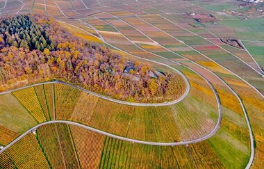 Waldschenke Hörnle - Wein- und Biergarten | © Waldschenke Hörnle | Jürgen Hönnige