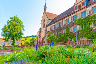 Blick aus dem blühenden Klostergarten auf das Kloster Bronnbach. Die Fassade ist begrünt. Im Hintergrund sind Steinfiguren und ein großer Baum zu sehen. | © Liebliches Taubertal
