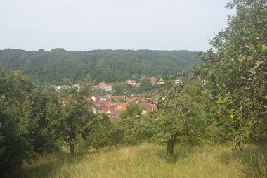 © Liebliches Taubertal