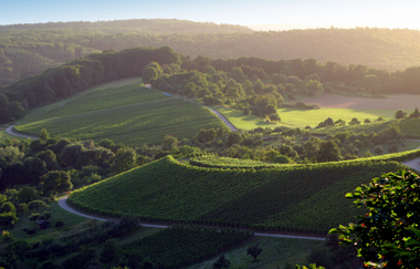 Hügel-Pass "Bannhalde" | © Touristikgemeinschaft HeilbronnerLand e.V.