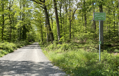 Hügel-Pass "Bannhalde" | © Kraichgau-Stromberg Tourismus e.V.