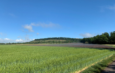 Hügel-Pass "Dürrmenzer Steige" | © www.pro-cycl.de