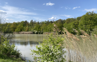 Hügel-Pass "Heiligenbergsee" | © Kraichgau-Stromberg Tourismus e.V.