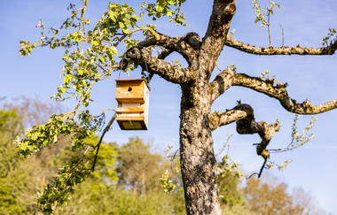 Hügel-Pass "Hohe Reute" | © lifecyclemag.de
