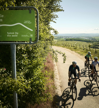 Radfahrende fahren am Hörnle bei 320 m Höhe durch Weinberge im Land der 1000 Hügel. | © Tourimia Tourismus GmbH | Stefan Leitner Photography