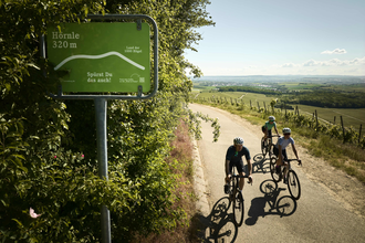 Radfahrende fahren am Hörnle bei 320 m Höhe durch Weinberge im Land der 1000 Hügel. | © Tourimia Tourismus GmbH | Stefan Leitner Photography